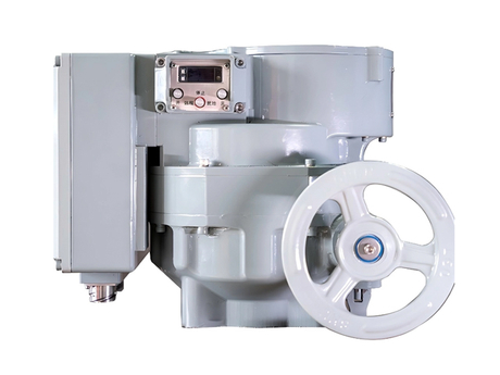 Marine Electric Actuators1.jpg